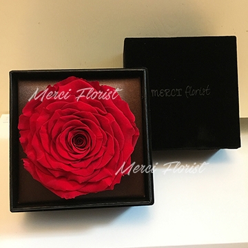 **PFBBR-Red** Preserved Big Rose Box - Red